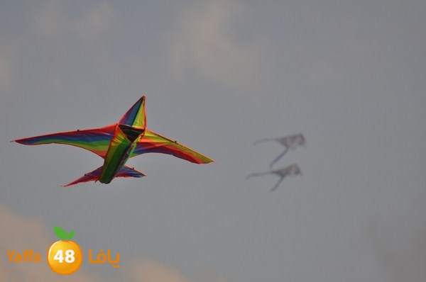 tayarat waraq (11).JPG